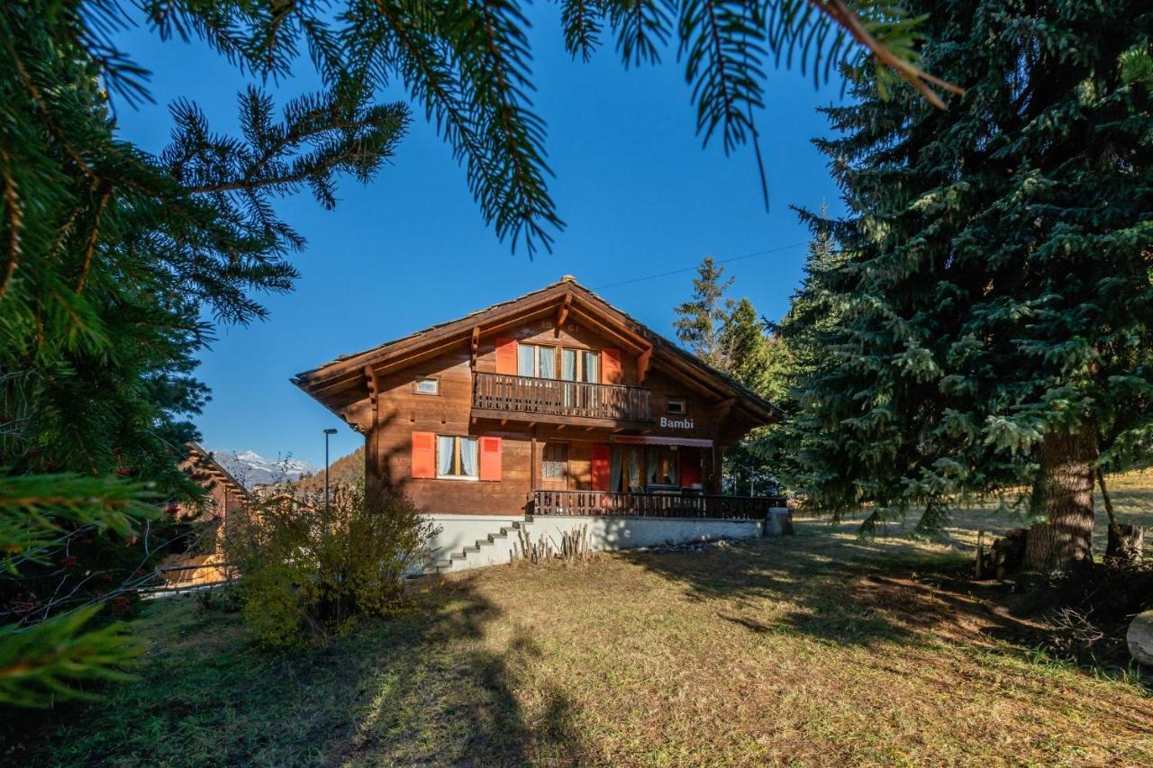 Chalet Bambi "Marchenhaft" Lägenhet Grächen Exteriör bild
